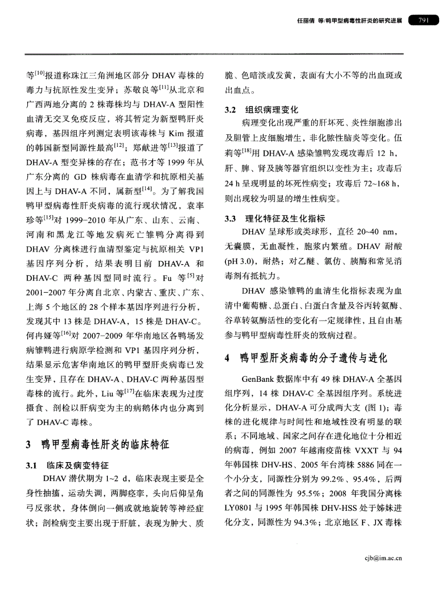 鸭甲型病毒性肝炎的研究进展_第3页