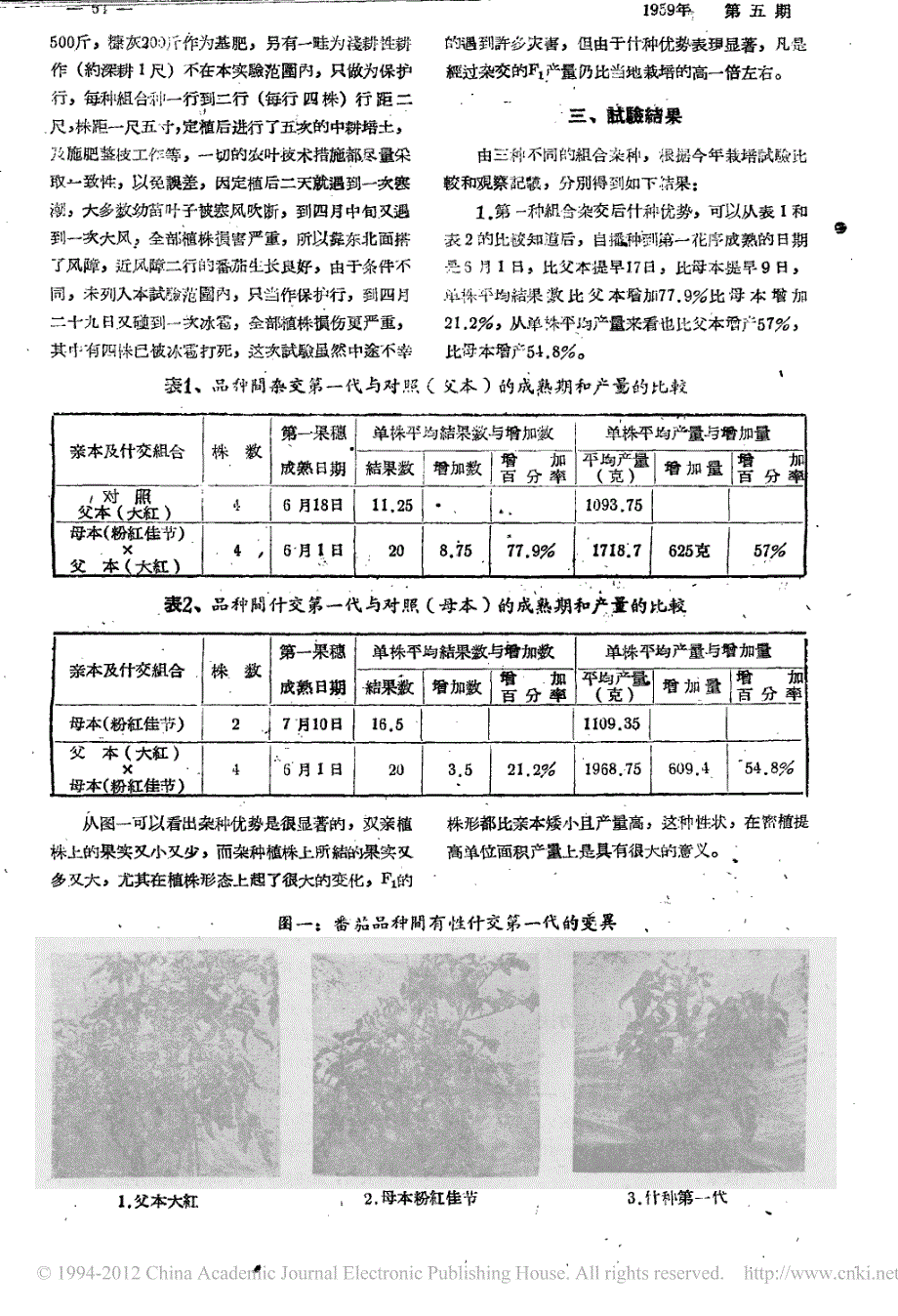 番茄品种间的有性杂交_第2页