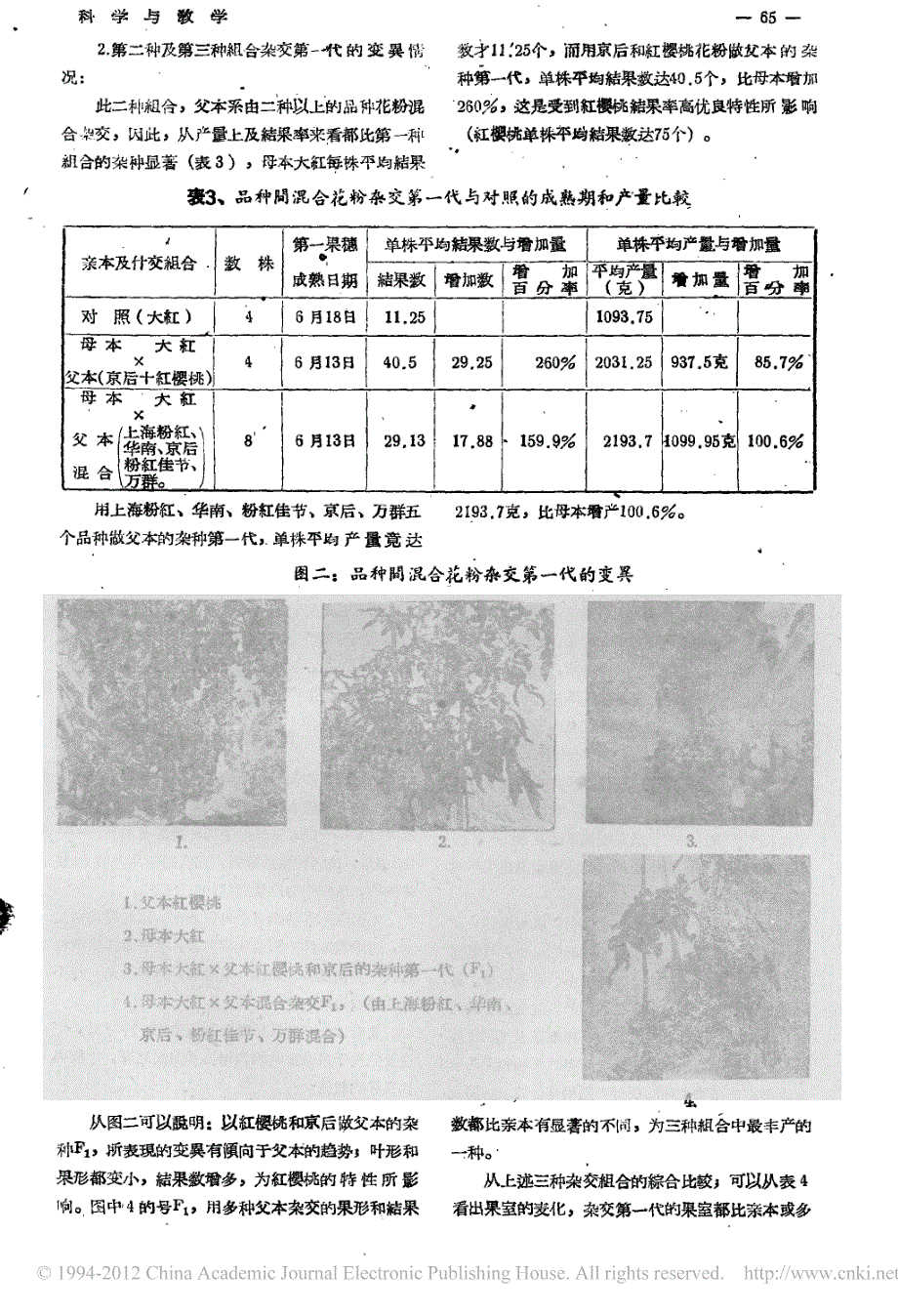 番茄品种间的有性杂交_第3页