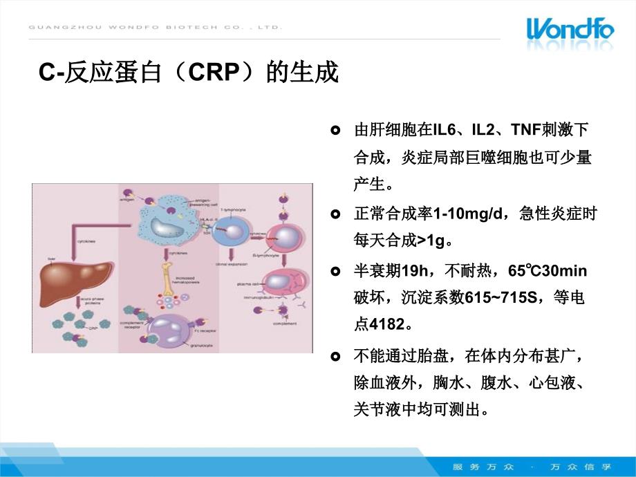 全程CRP临床应用_第3页