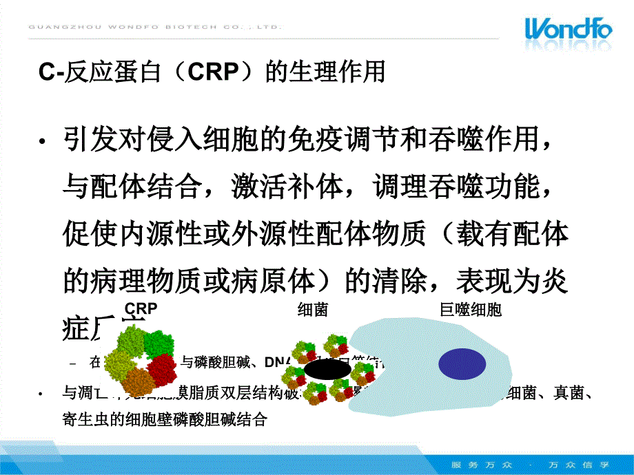 全程CRP临床应用_第4页