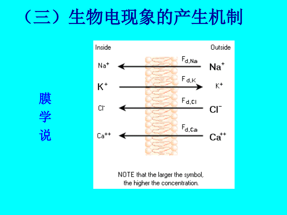 生理学课件 第二章细胞的基本功能_第1页