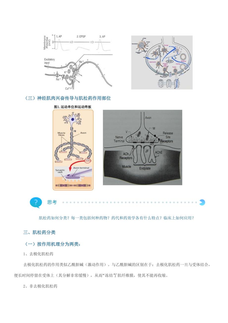 正确使用肌松药需注意的几个问题_第3页