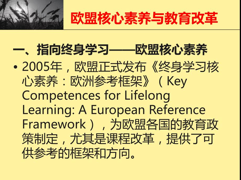 欧洲教育改革中的核心素养探究--刘坚_第3页