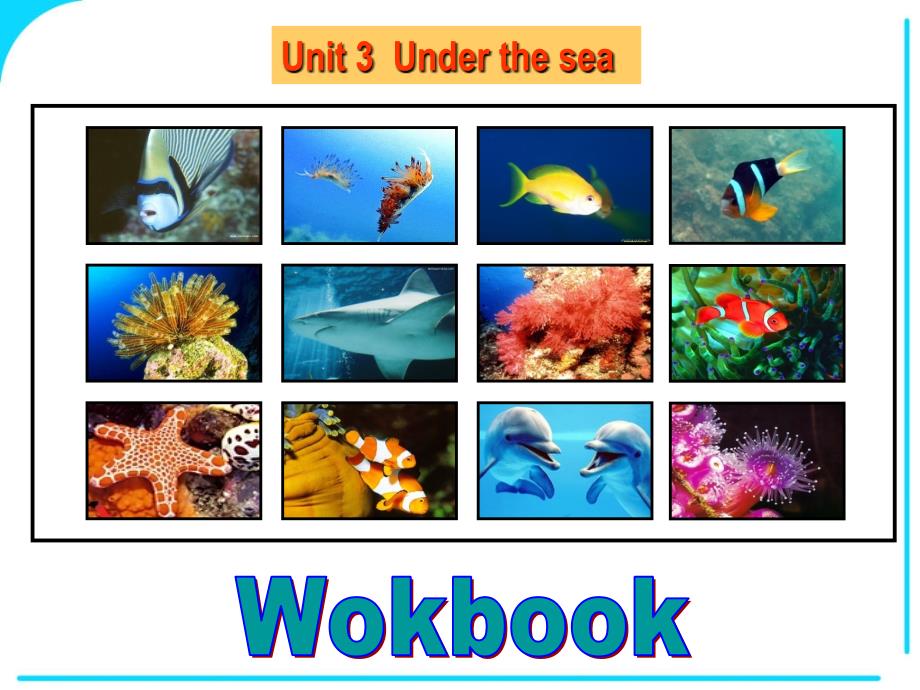 选修7unit3 workbook答案_第1页