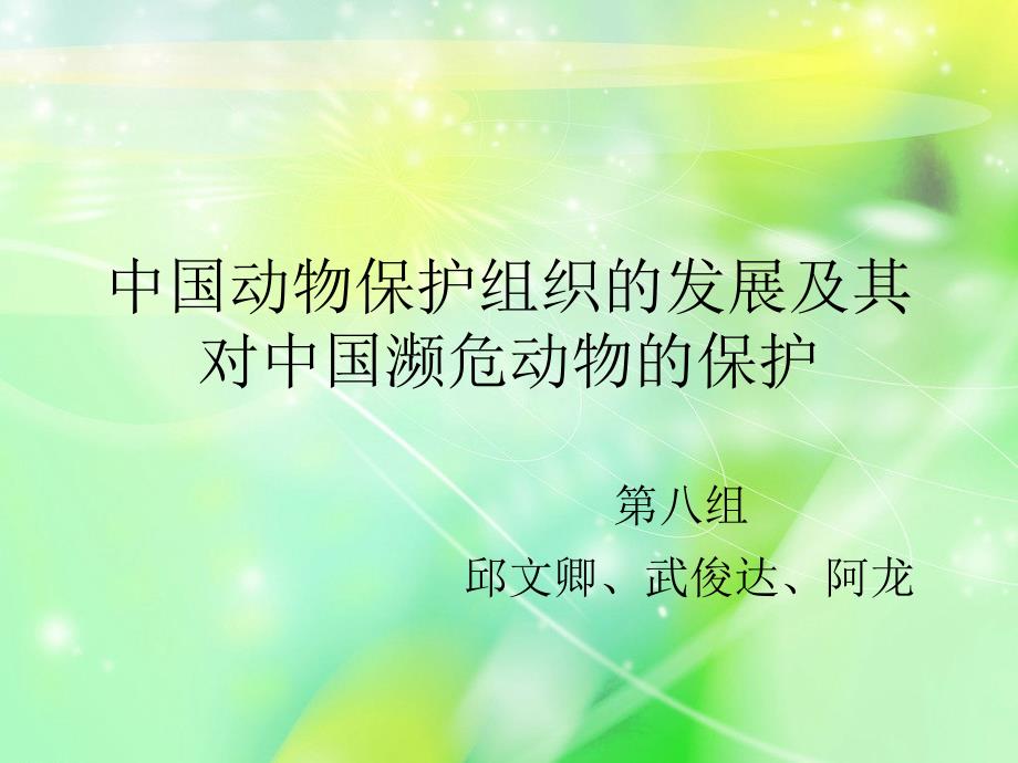 动保组织和濒危动物保护_第1页