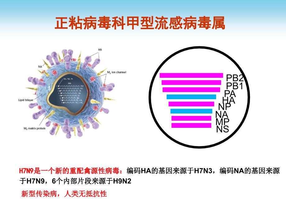 禽流感诊疗方案及接诊流程_第3页