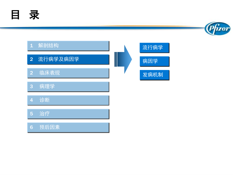 肾癌疾病知识、 分期和分型_第4页