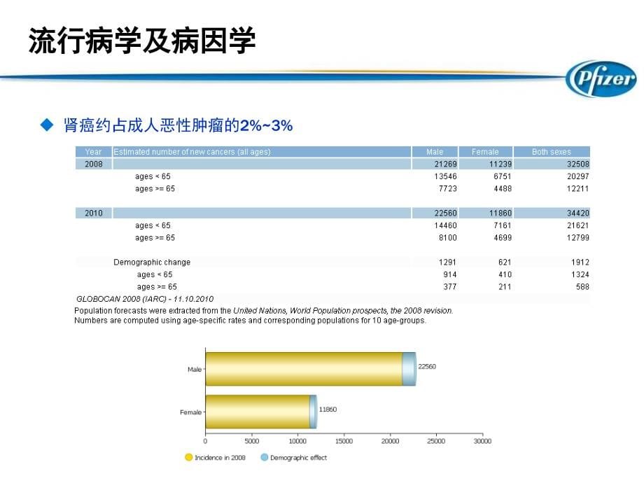 肾癌疾病知识、 分期和分型_第5页