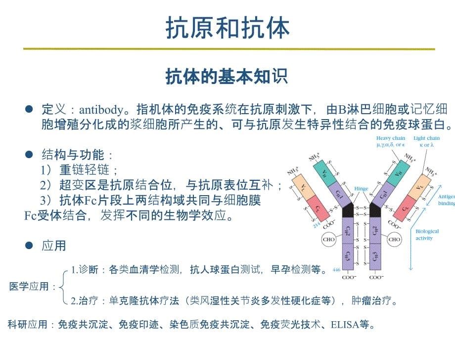 ELISAwesternblot免疫组化RT-PCR实验方法原理及其在SCI论文材料方法结果中的写作_第5页