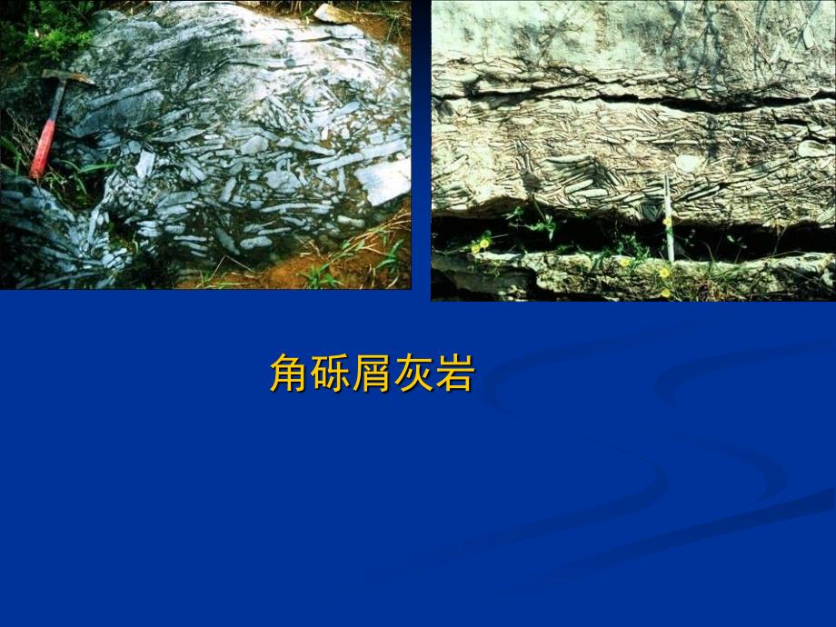 实验九：内碎屑灰岩 沉积岩石学实验_第3页