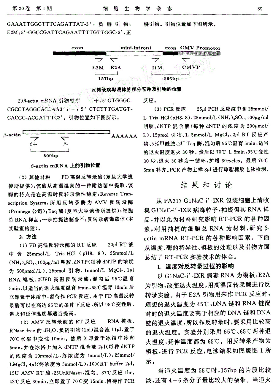 影响反转录过程多种因素的探讨_第2页