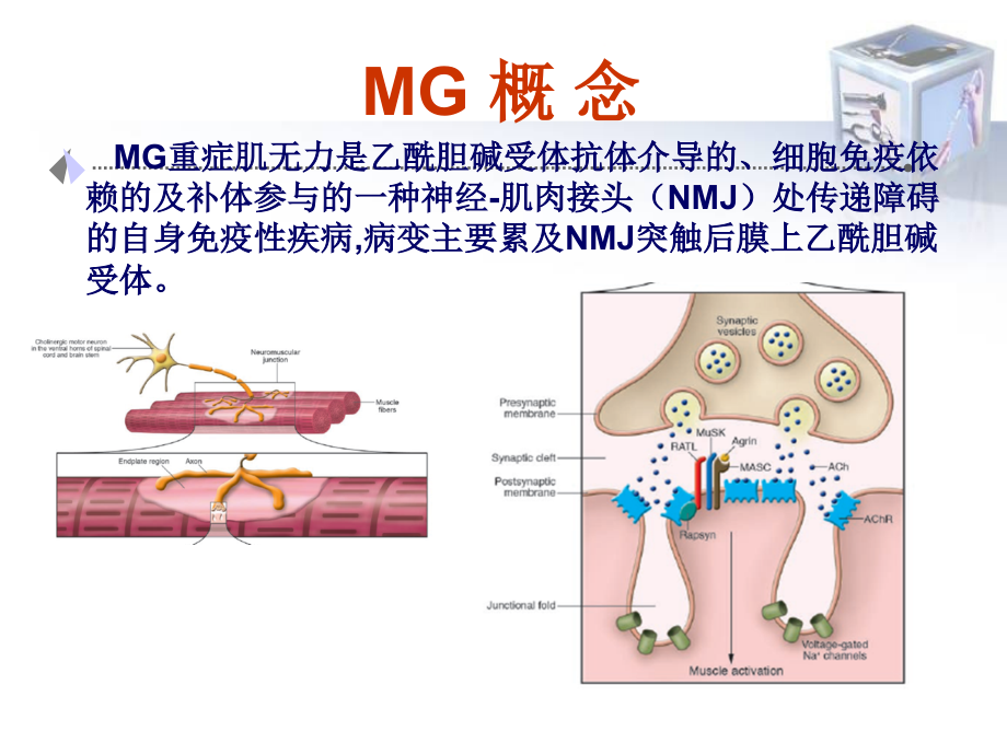 重症肌无力马春姣_第2页