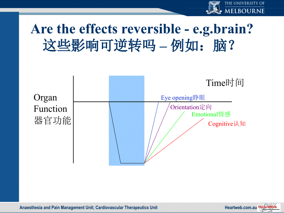 麻醉与器官保护_第3页