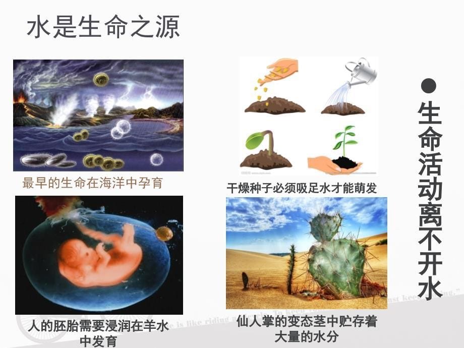 细胞中的无机物.ppt_第5页