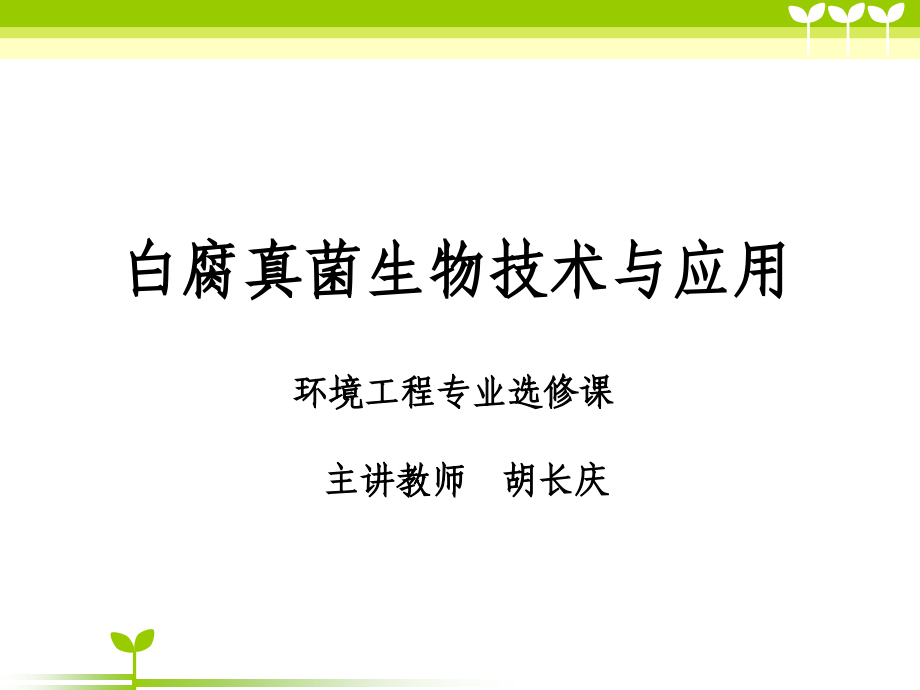 白腐真菌生物技术与应用_第1页