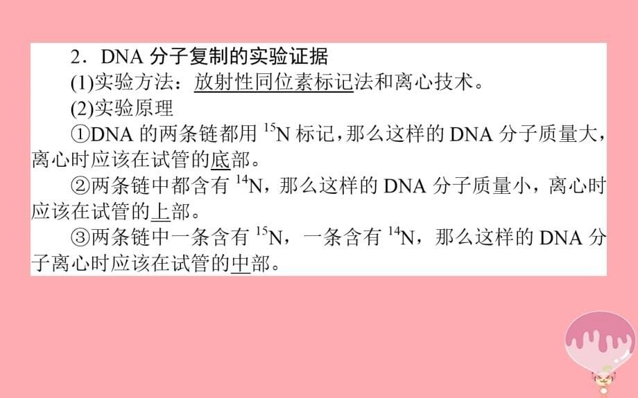 2017-2018学年高中生物 第三章 基因的本质 3.3 dna的复制课件 新人教版必修2_第5页
