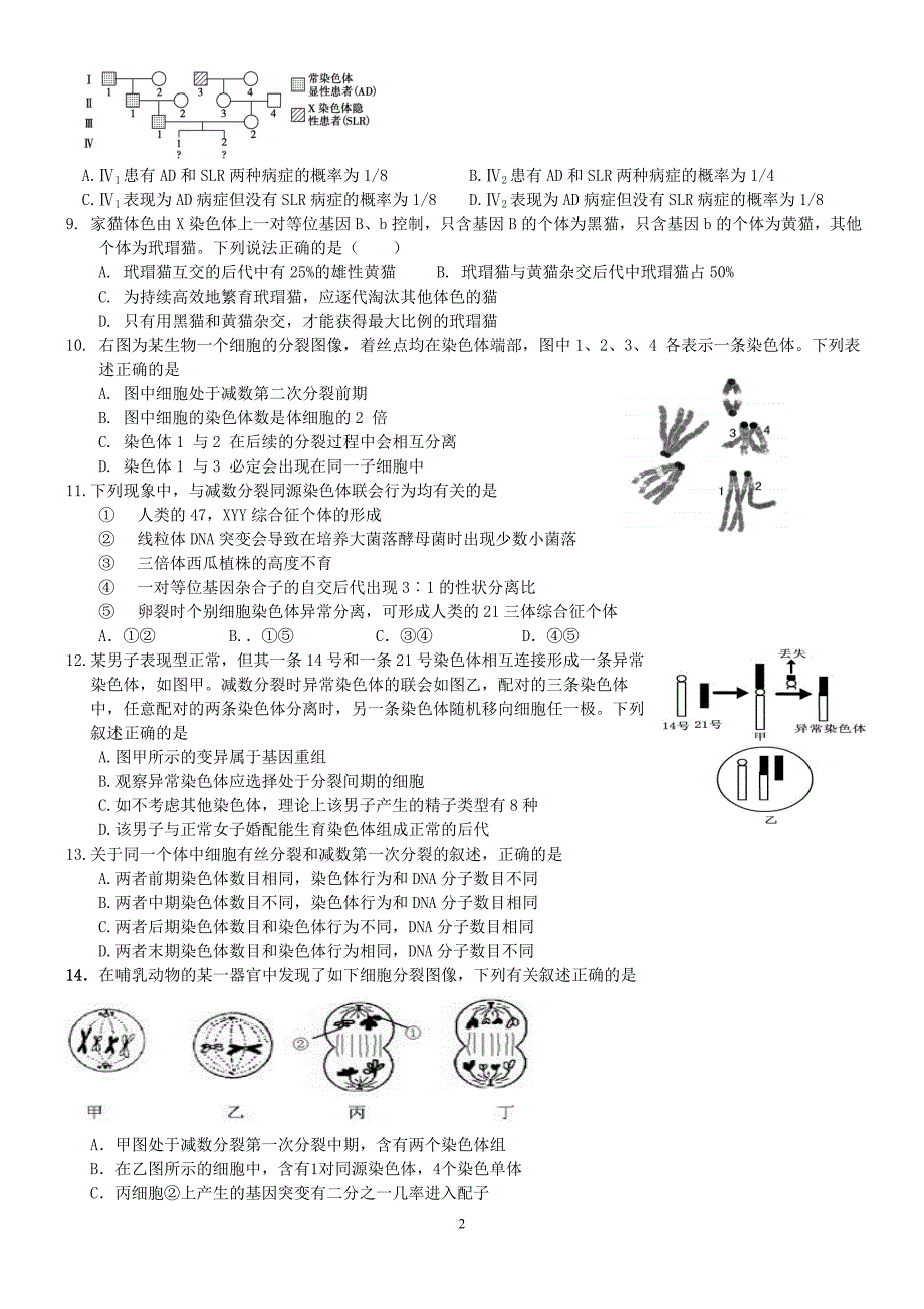 减数分裂伴性遗传测试(有答案)_第2页