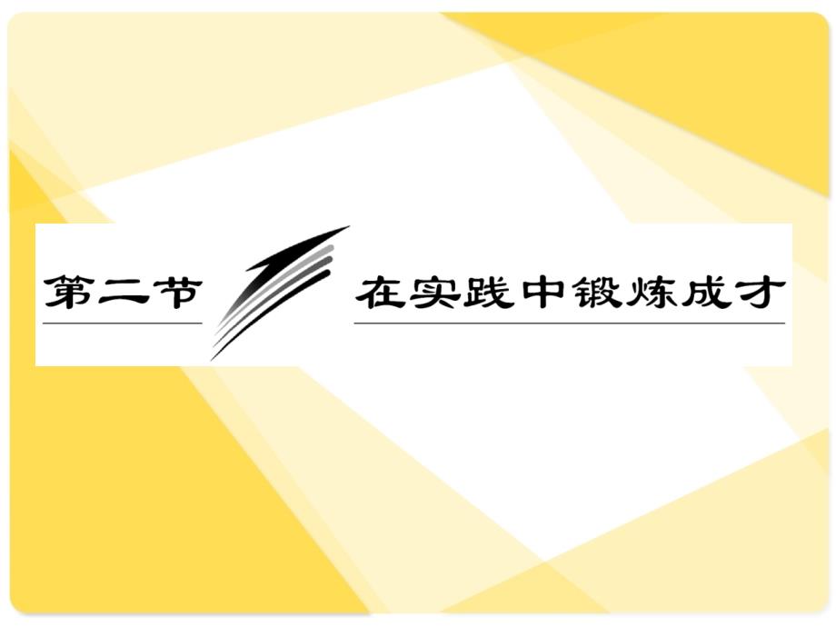 高三政治总复习课：专题27：在实践中锻炼成才_第1页