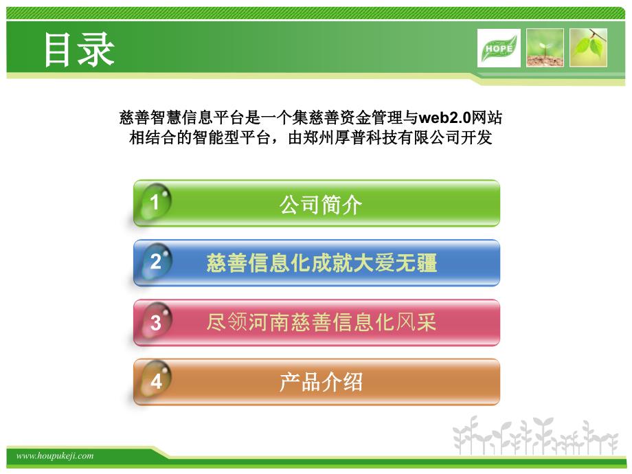 HOPE慈善智能信息资金公示管理平台_第3页