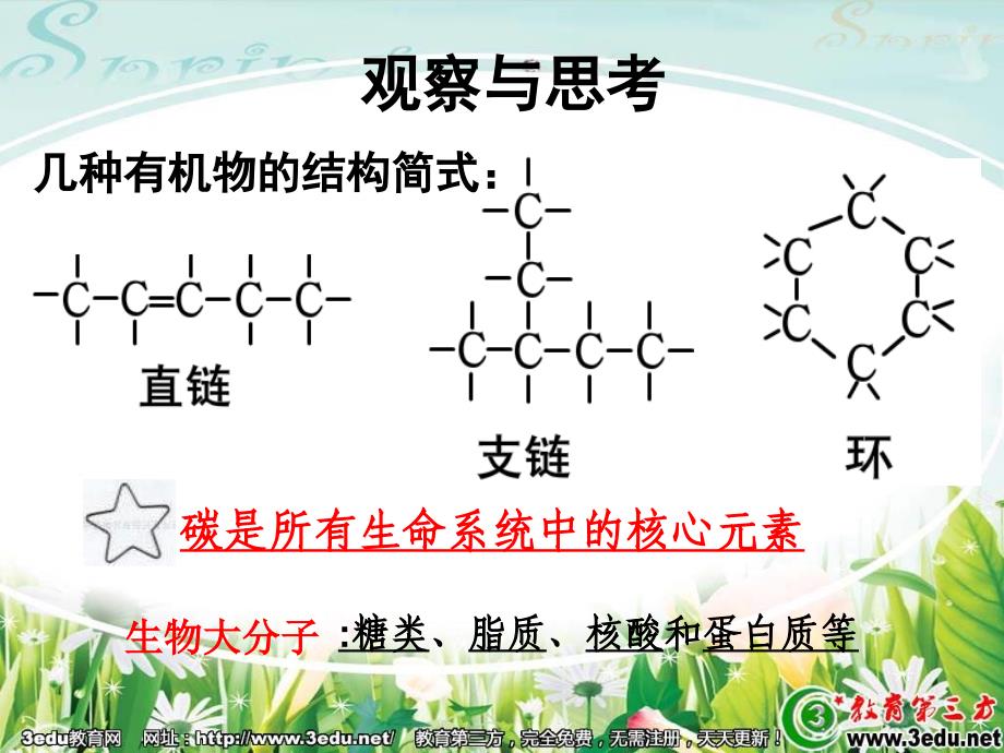 高一生物有机化合物及生物大分子_第2页