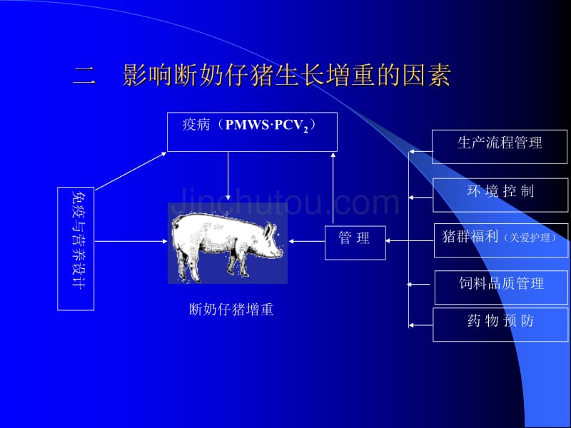 断奶仔猪管理技术讲课文稿_第3页