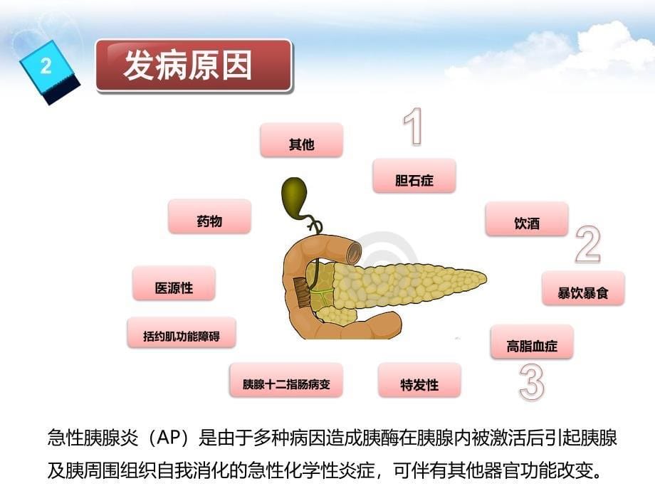 急性胰腺炎年中国急性胰腺炎指南_第5页