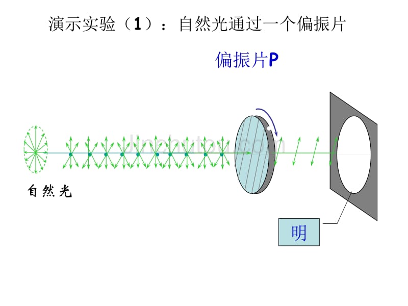 高二物理下学期光的偏振和激光-新人教版_第5页