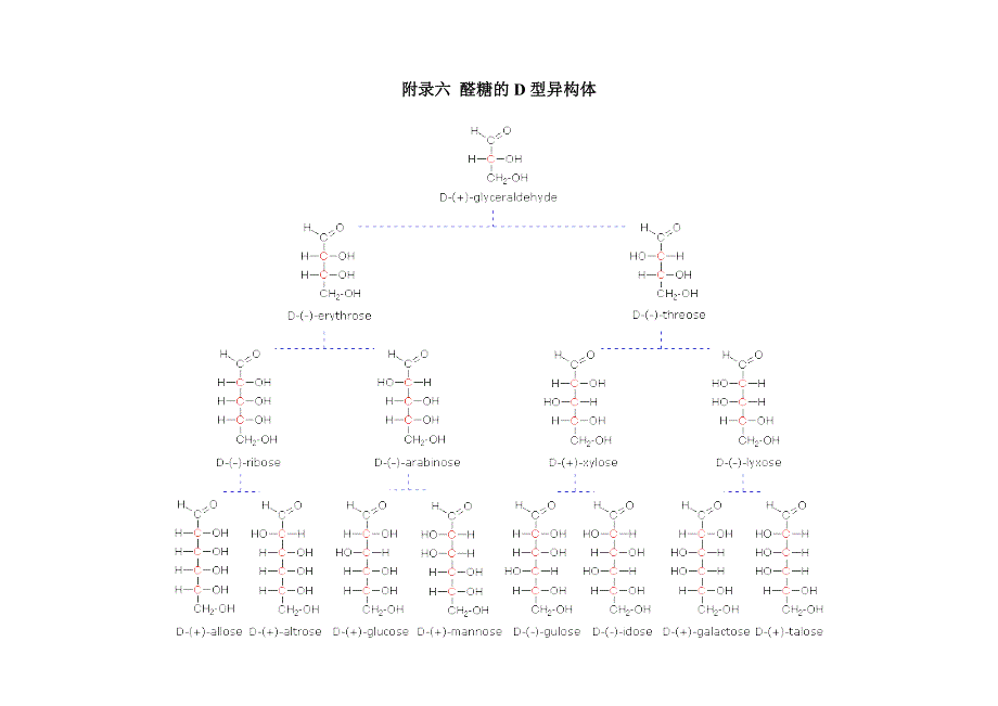 附录六 醛糖的d型异构体，吡喃糖结构1_第1页