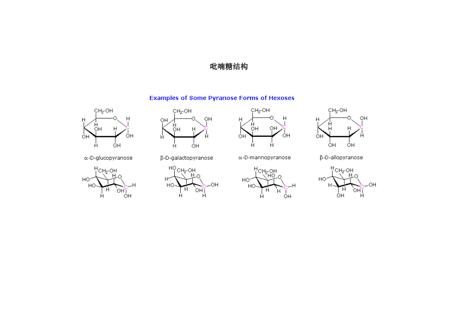 附录六 醛糖的d型异构体，吡喃糖结构1_第2页