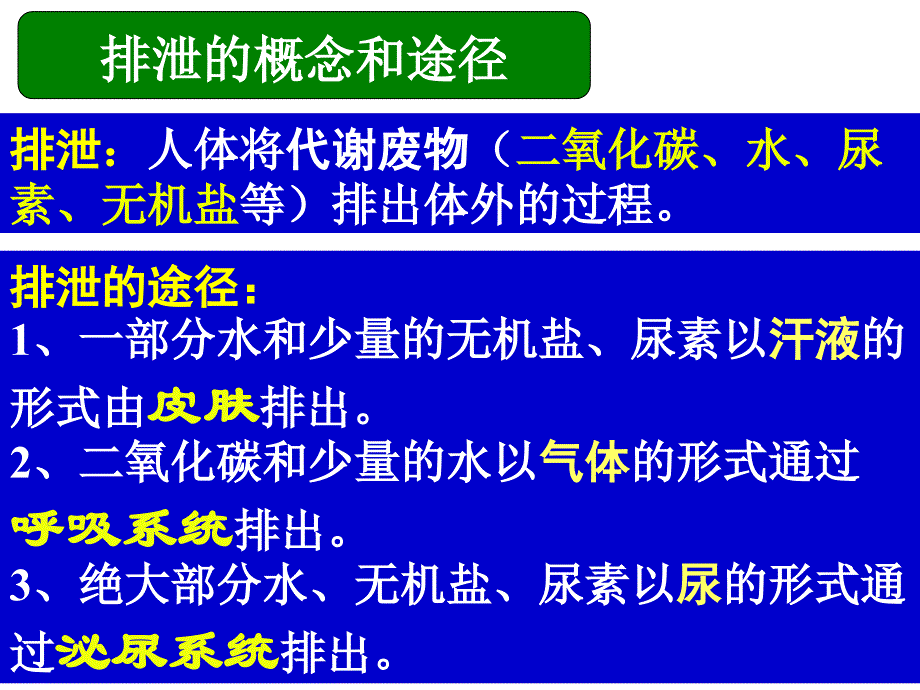 人体内废物的排出_第2页