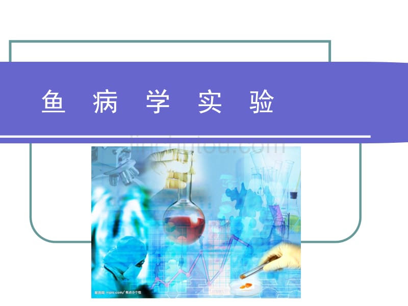 设计性试验-半数致死量的测定_第1页