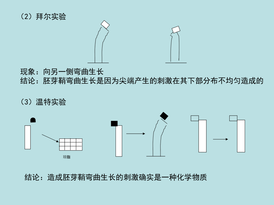 生物必修复习_第3页