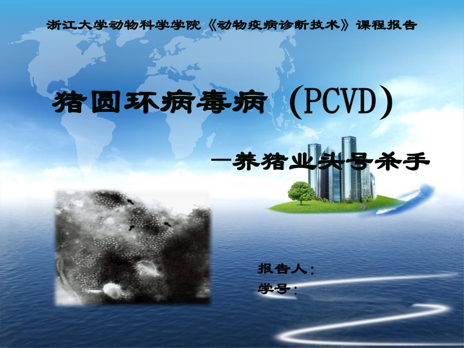 猪圆环病毒病海量图片_第1页