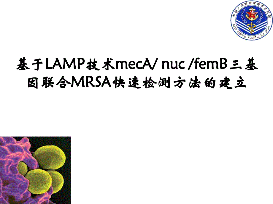 基于lamp技术快速检测mrsa方法的建立_第1页