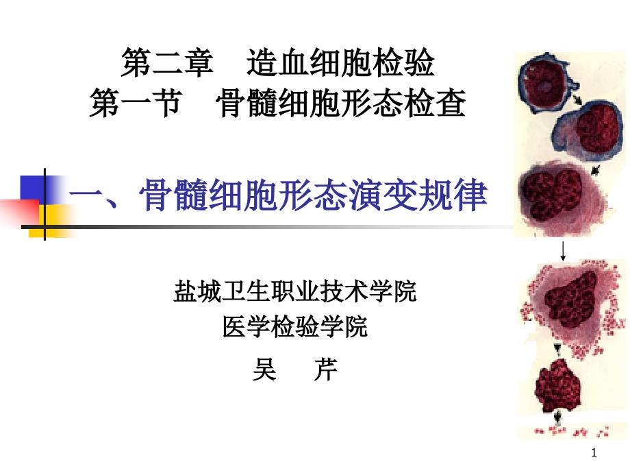 血液学检验,微型课吴芹_第1页