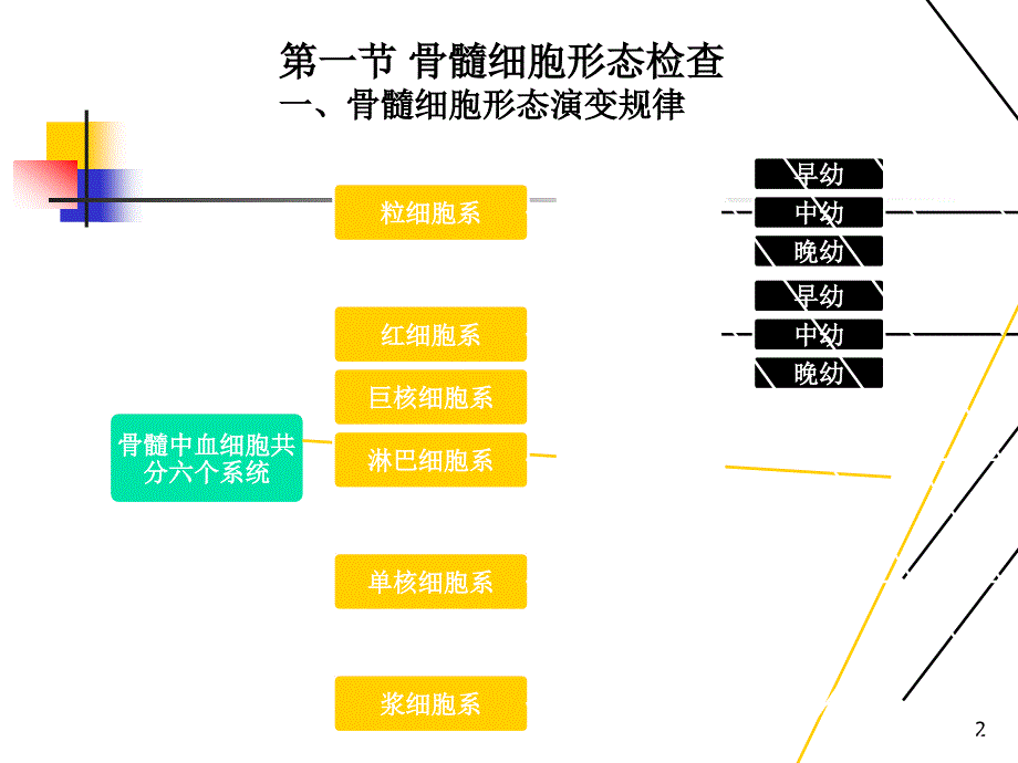 血液学检验,微型课吴芹_第2页