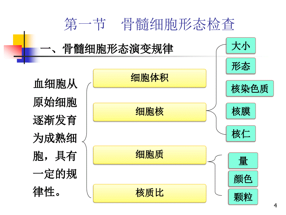 血液学检验,微型课吴芹_第4页