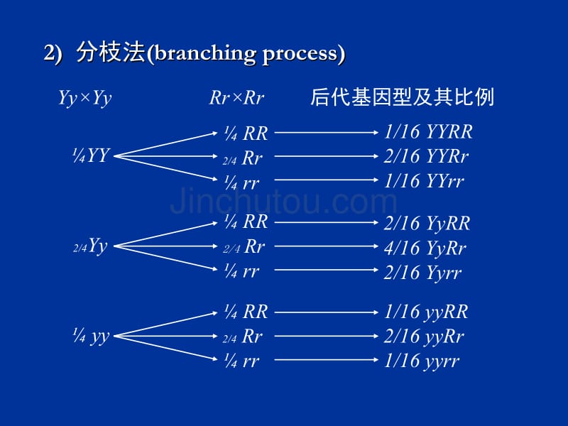 统计学原理在遗传学中的应用_第4页