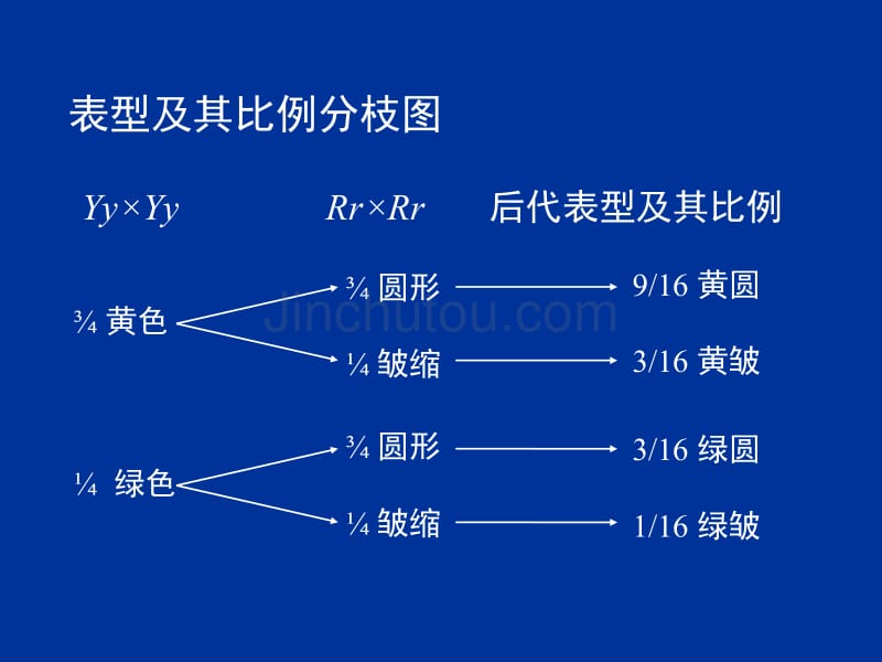 统计学原理在遗传学中的应用_第5页