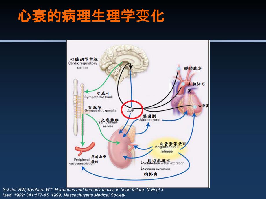 苏麦卡心衰片_第3页