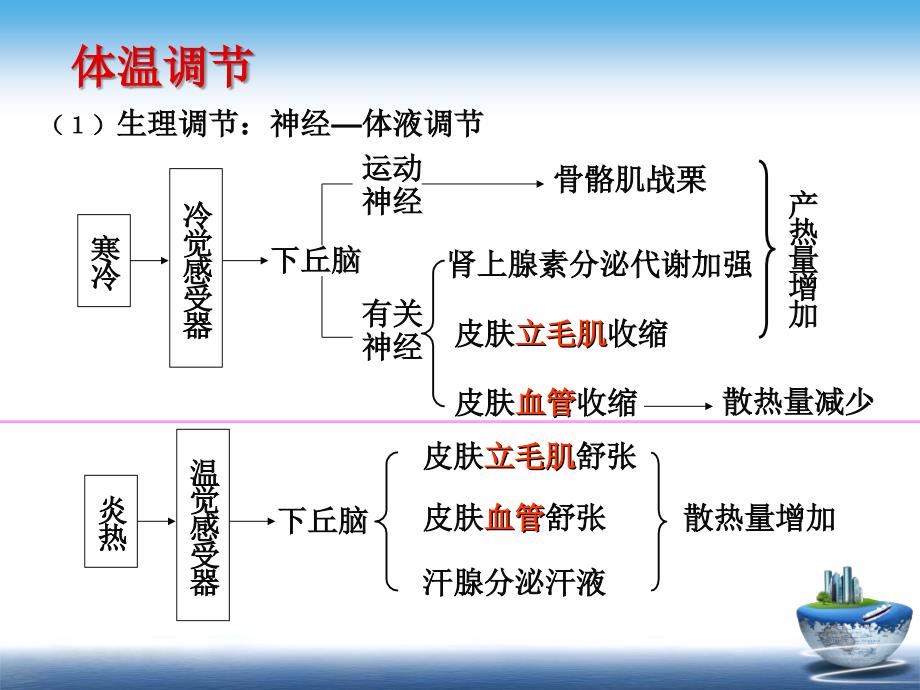 高二年级生物复习专题二_第4页