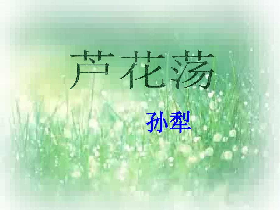 《芦花荡》公开课课件_第1页