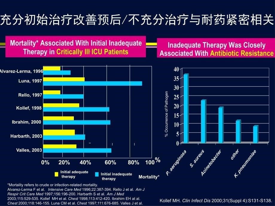 耐药背景下的个体化抗菌治疗陈佰义_第5页