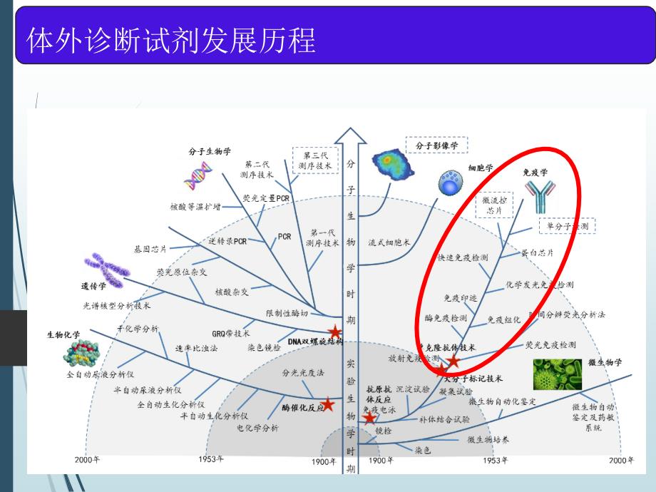 POCT及免疫比浊体外诊断试剂_第2页