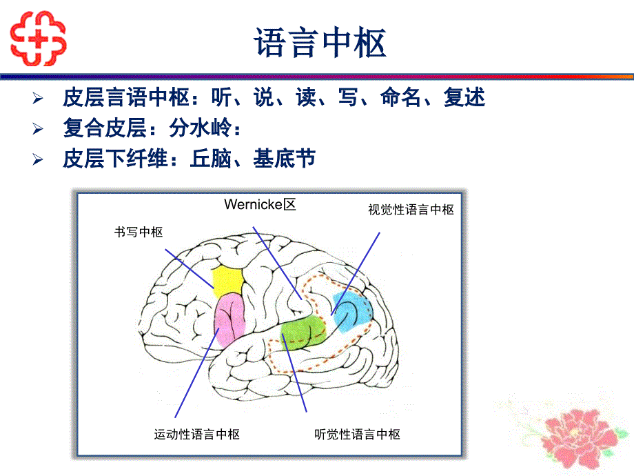 痴呆语言特点及m治疗-彭丹涛_第3页