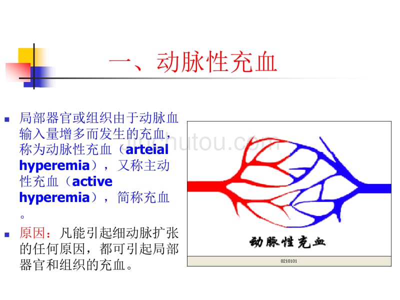 病理血液循环障碍_第5页