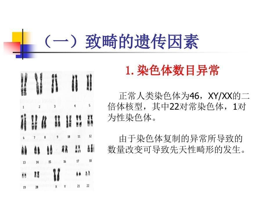 华中科技大学同济医学院_第5页