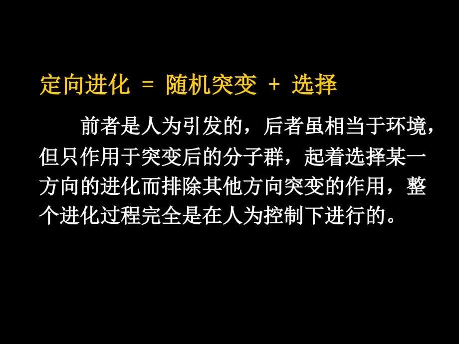 6进化酶 酶工程与蛋白质工程 教学课件_第5页