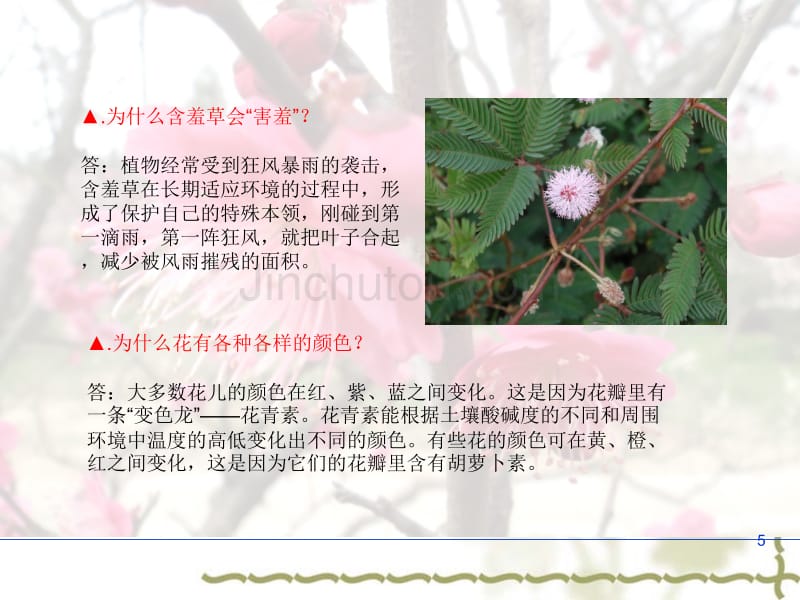 植物科学小知识_第5页